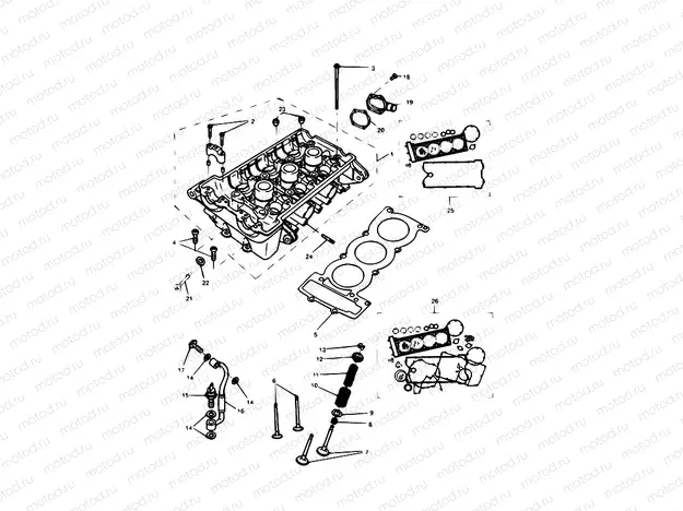 Cylinder Head & Valves
