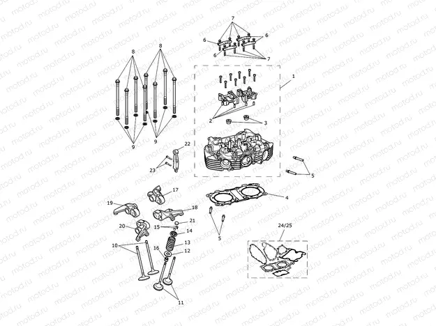Cylinder Head & Valves