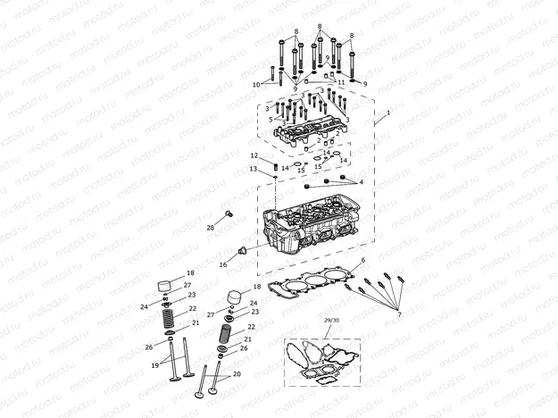 Cylinder Head & Valves
