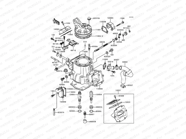 Cylinder Head/Cylinder