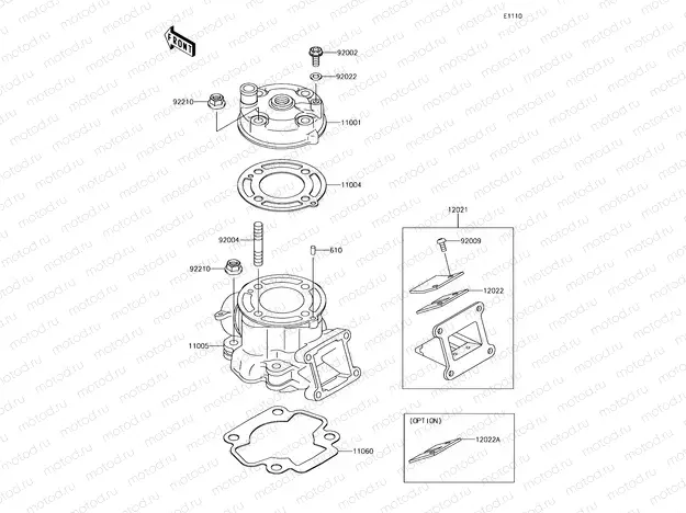 Cylinder Head/Cylinder
