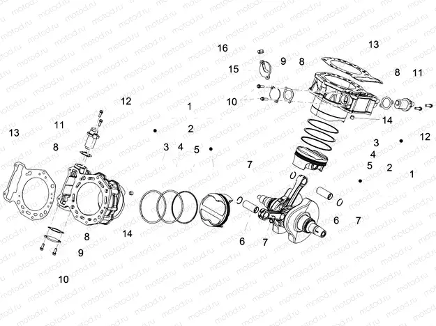 Cylinder - Piston