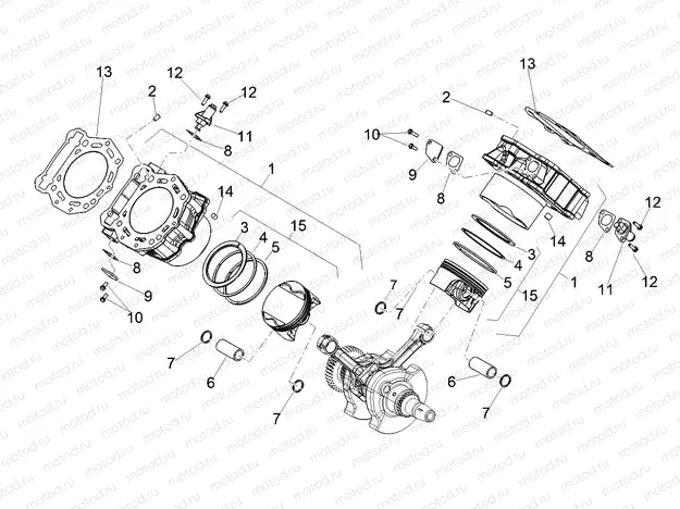 Cylinder - Piston