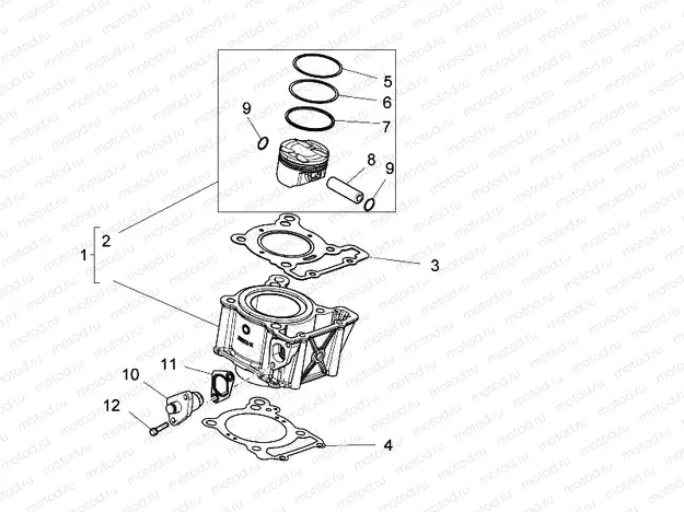 Cylinder - Piston