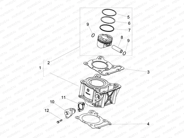 Cylinder - Piston