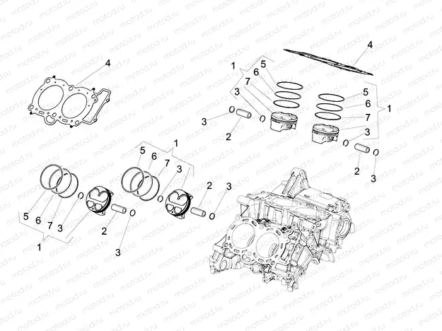 Cylinder - Piston