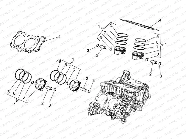 Cylinder - Piston