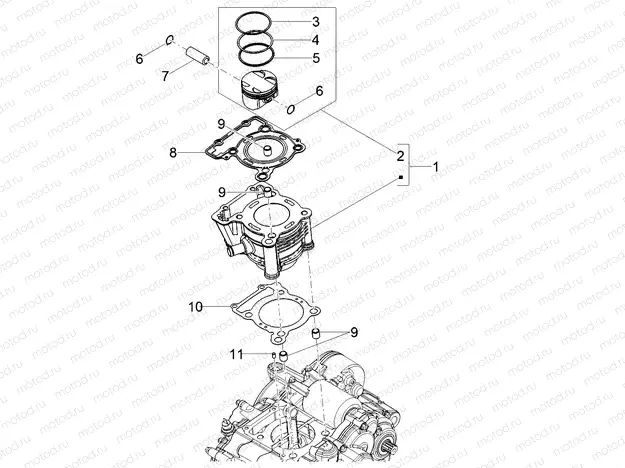 Cylinder - Piston