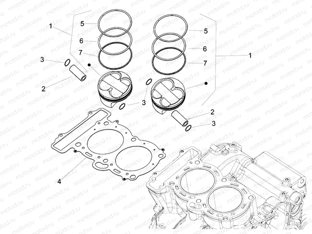 Cylinder - Piston