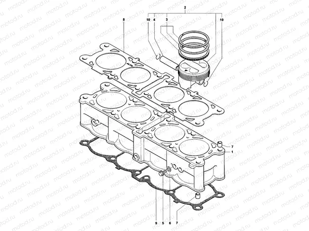 Cylinder & Piston Assembly