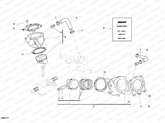 CYLINDER - PISTON » ENGINE CASE