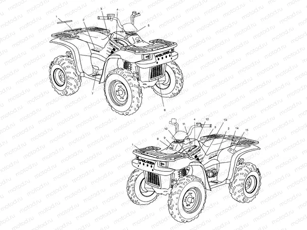 DECALS - A01CG38CA (4963916391A006) | DECALS - A01CG38CA (4963916391A006)