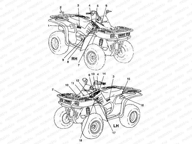 DECALS - A99CA28CA (4949444944a012) | DECALS - A99CA28CA (4949444944a012)