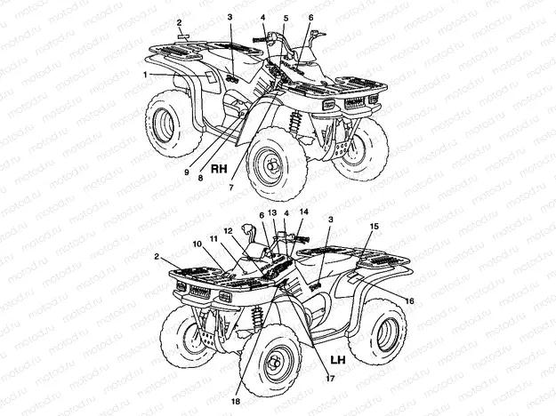 DECALS - W98CA28C (4945364536a012) | DECALS - W98CA28C (4945364536a012)