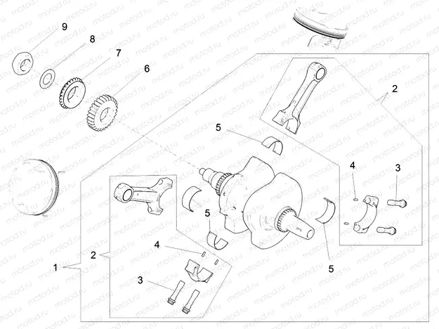 Drive shaft