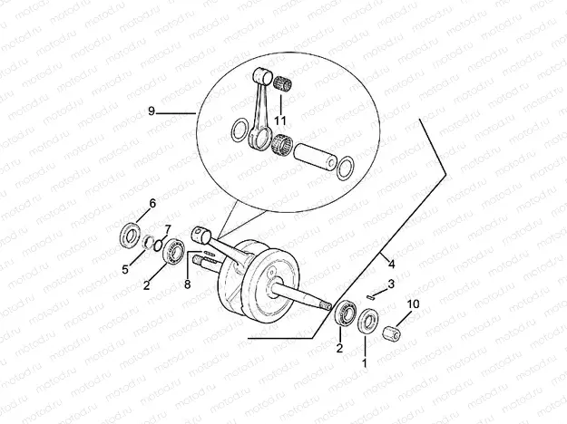 Drive shaft