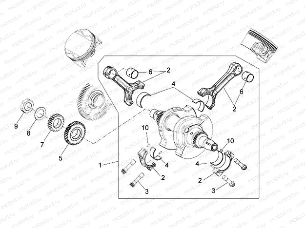 Drive shaft