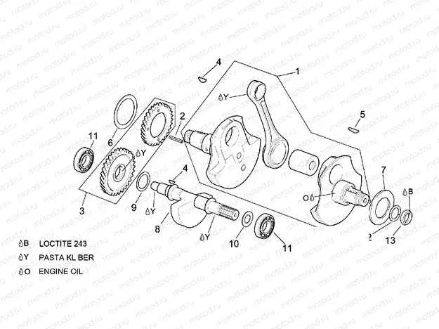Drive shaft