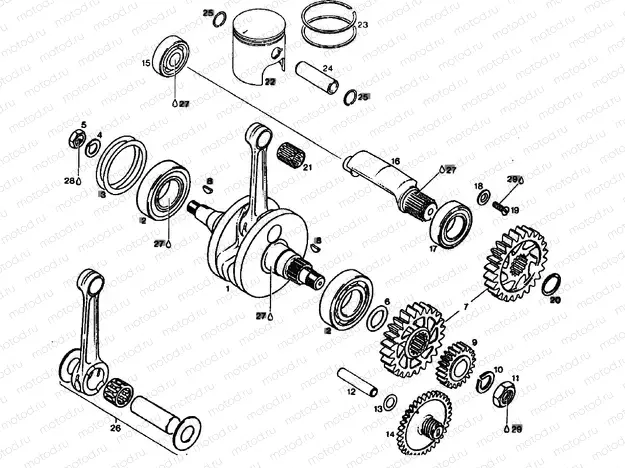 Drive shaft