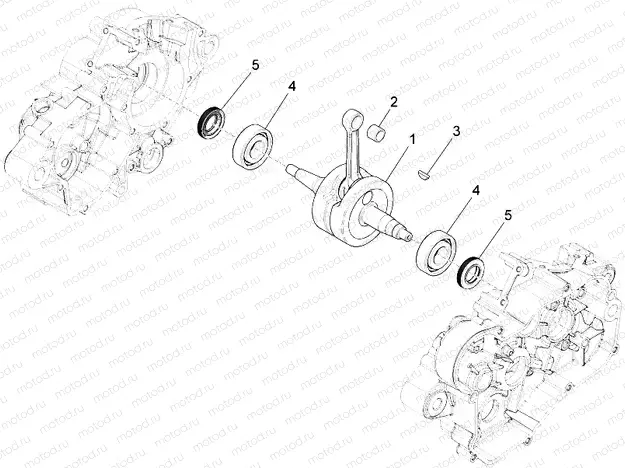 Drive shaft