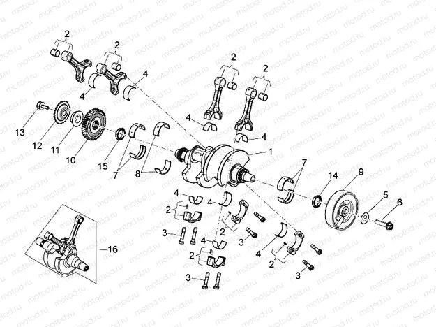 Drive shaft