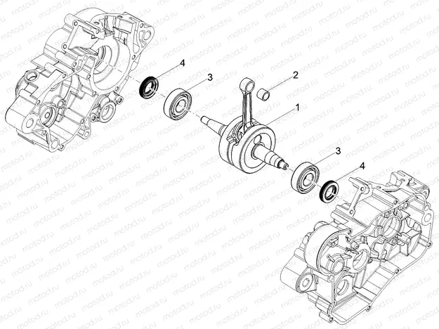 Drive shaft