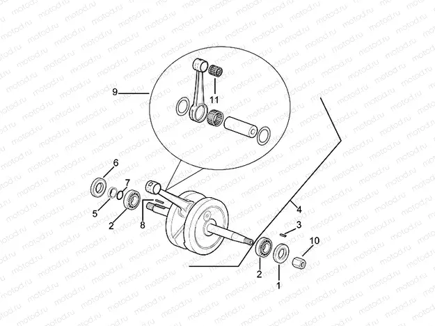 Drive shaft
