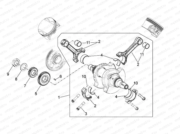 Drive shaft