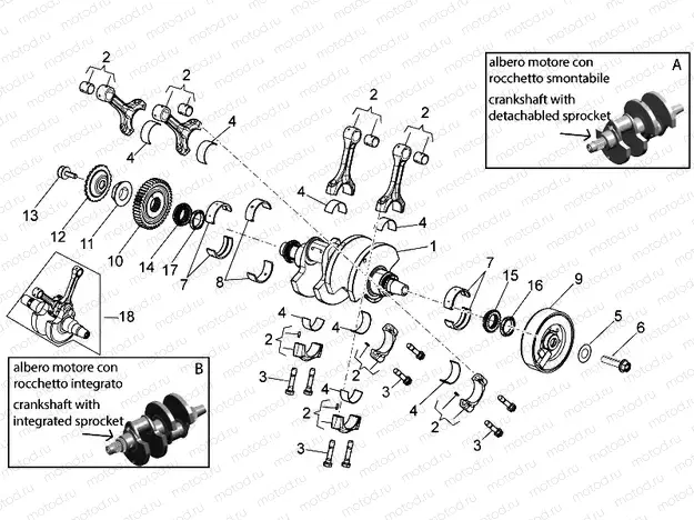Drive shaft