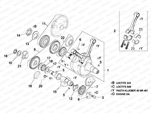 Drive shaft