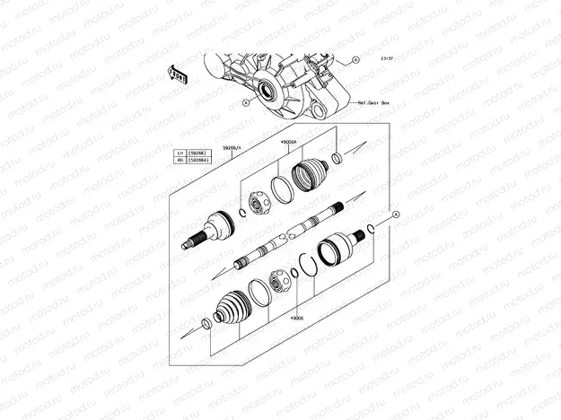 Drive Shaft-Rear