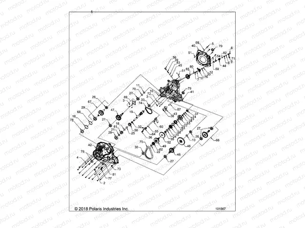 DRIVE TRAIN | DRIVE TRAIN, MAIN GEARCASE - A19SXN85A8