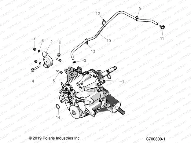 DRIVE TRAIN | DRIVE TRAIN, MAIN GEARCASE MOUNTING - Z20ASS99C2/CH (C700809-1)