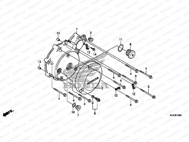 E-10 LEFT CRANKSHAFT COVER (VT750C / C2S / CA / CS)