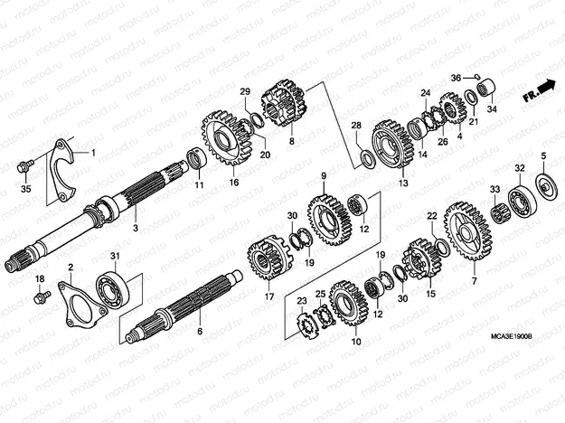 E-19 TRANSMISSION