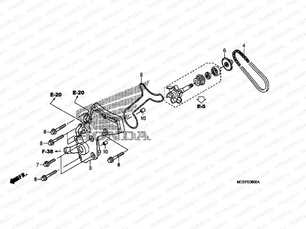 E-6 WATER PUMP COVER