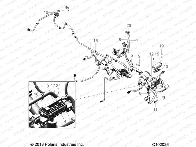 ELECTRICAL | ELECTRICAL, HARNESS - A19SXD95B9/SXE95BN/SXZ95BP (C102026)