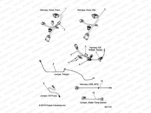 ELECTRICAL | ELECTRICAL, JUMPERS/WIRE HARNESS - S20DCH8RS ALL OPTIONS (601175)