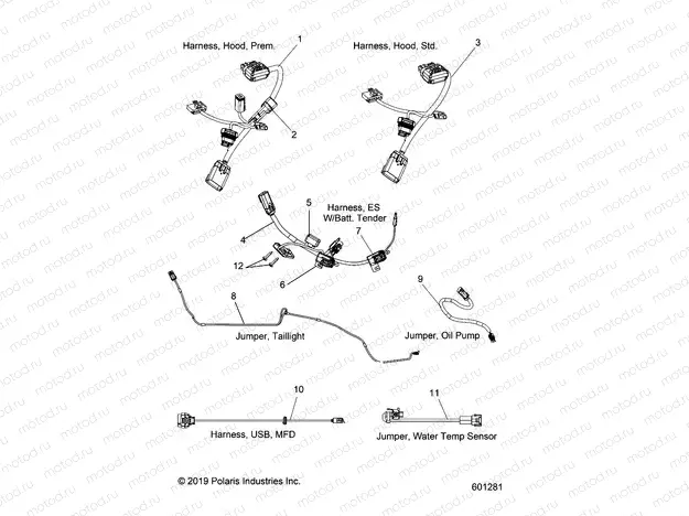 ELECTRICAL | ELECTRICAL, JUMPERS/WIRE HARNESS - S20EDP8RS/8REM ALL OPTIONS (601281)