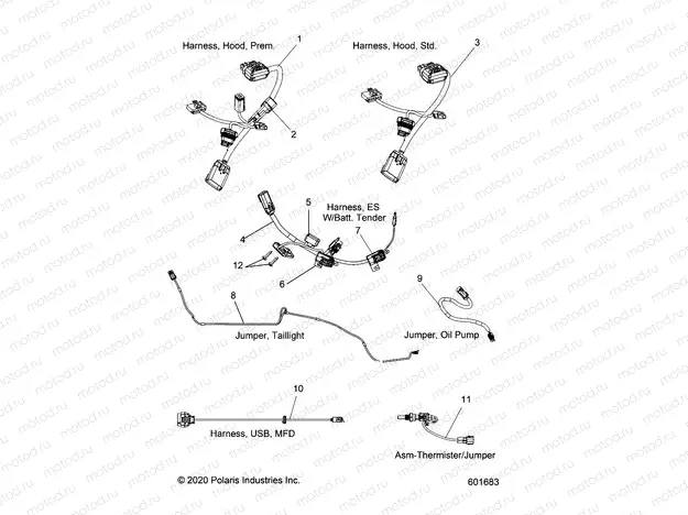 ELECTRICAL | ELECTRICAL, JUMPERS/WIRE HARNESS - S21EKL8RS ALL OPTIONS (601683)