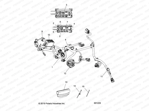 ELECTRICAL | ELECTRICAL, MAIN WIRE HARNESS - S21EGT8R ALL OPTIONS (601228)