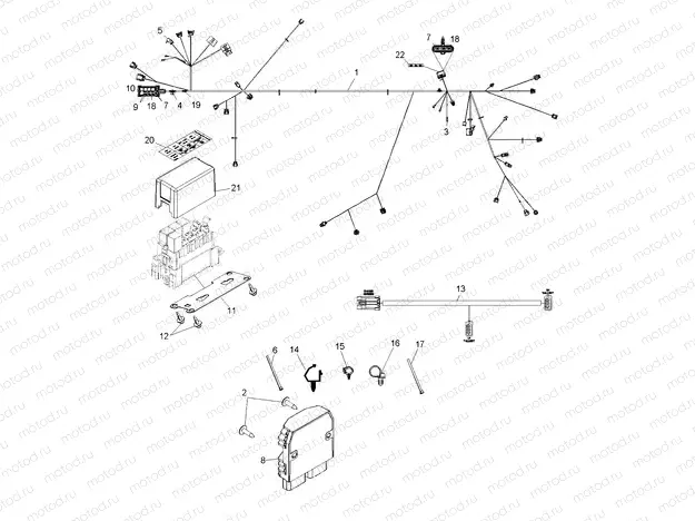 ELECTRICAL | ELECTRICAL, WIRE HARNESS, EPS - R11VH76/VY76 ALL OPTIONS (49RGRHARNESS11RZREPS)