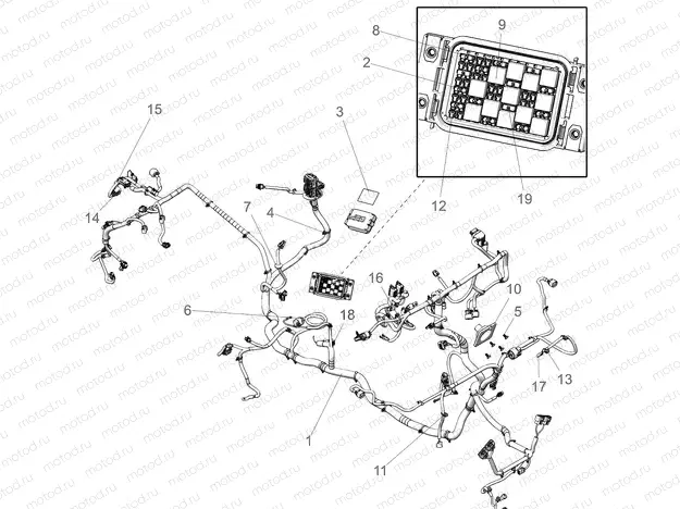 ELECTRICAL | ELECTRICAL, WIRE HARNESS - R20RRR99A/B (C700851)