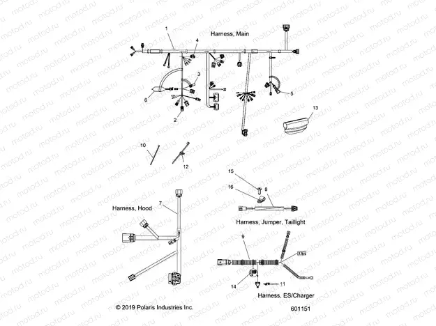 ELECTRICAL | ELECTRICAL, WIRE HARNESS - S20CBA6GSL (601151)