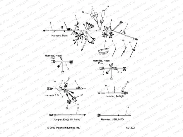 ELECTRICAL | ELECTRICAL, WIRE HARNESS - S20EDE8PS ALL OPTIONS (601202)