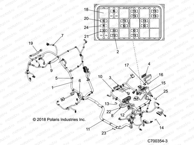 ELECTRICAL | ELECTRICAL, WIRE HARNESS - Z19VEL92BK/BR/BM (C700354-3)