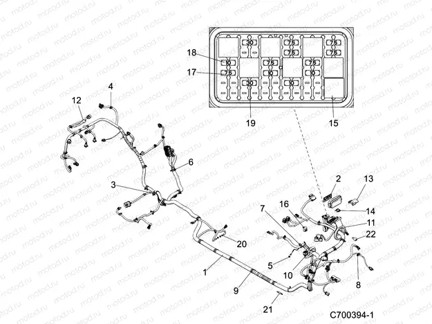 ELECTRICAL | ELECTRICAL, WIRE HARNESS - Z20N4E92AL/AR (C700394-1)