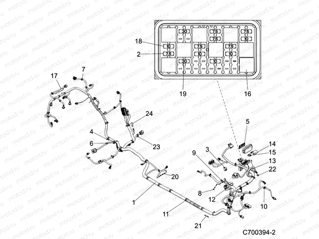 ELECTRICAL | ELECTRICAL, WIRE HARNESS - Z20N4E92BL/BR (C700394-2)