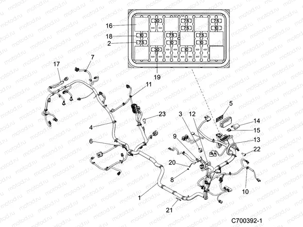 ELECTRICAL | ELECTRICAL, WIRE HARNESS - Z20NAE92BL/BR (C700392-1)