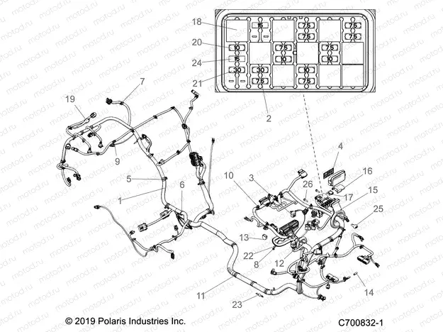 ELECTRICAL | ELECTRICAL, WIRE HARNESS - Z20PAL92AG/AP/LG (C700832-1)
